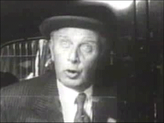 Stringer Davis